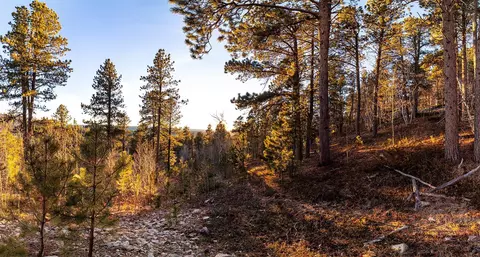 lot10 Wapiti Rd, Lead, SD 57754 photo 9