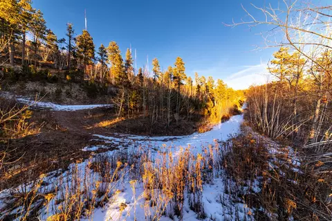 lot10 Wapiti Rd, Lead, SD 57754 photo 4