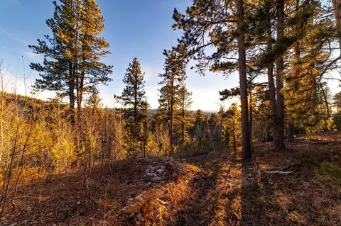 lot10 Wapiti Rd, Lead, SD 57754 photo 7