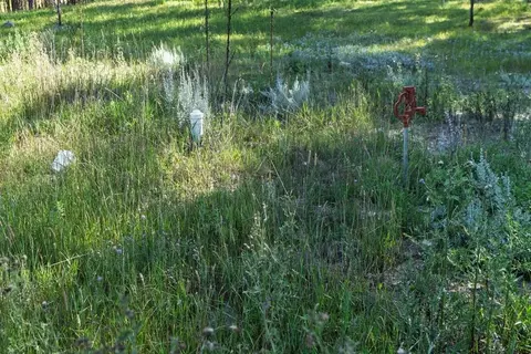 25555 Glen Erin Rd, Custer, SD 57730 photo 41