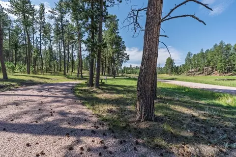 25555 Glen Erin Rd, Custer, SD 57730 photo 16