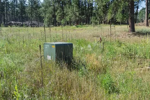 25555 Glen Erin Rd, Custer, SD 57730 photo 42