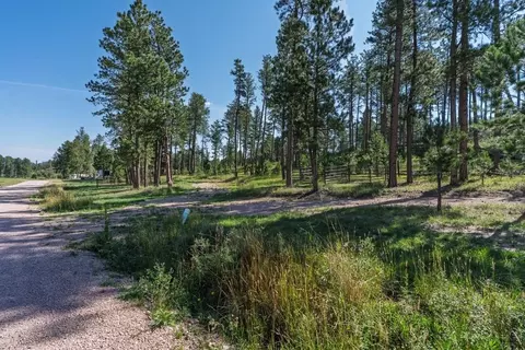25555 Glen Erin Rd, Custer, SD 57730 photo 17