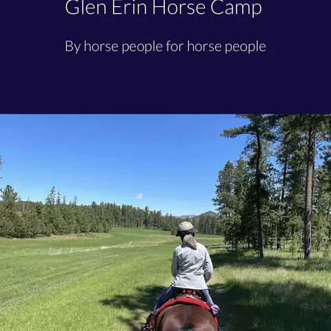 25555 Glen Erin Rd, Custer, SD 57730 photo 9