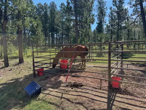 25555 Glen Erin Rd, Custer, SD 57730 photo 10