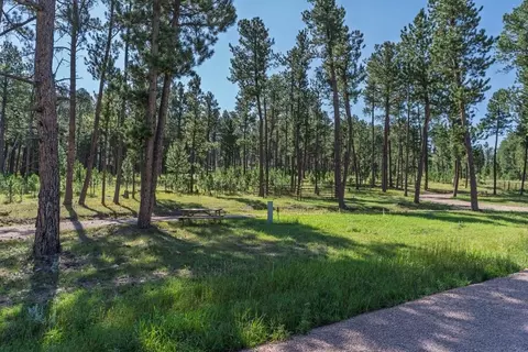 25555 Glen Erin Rd, Custer, SD 57730 photo 19