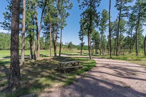 25555 Glen Erin Rd, Custer, SD 57730 photo 15