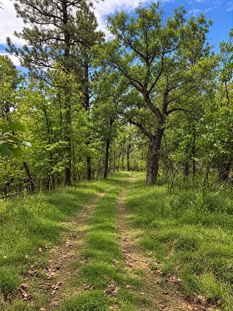 tbd Docs Pl, Spearfish, SD 57783 photo 4