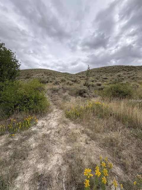 Other - 18300 E Hwy 44, Scenic, SD 57780 photo 23 of 25