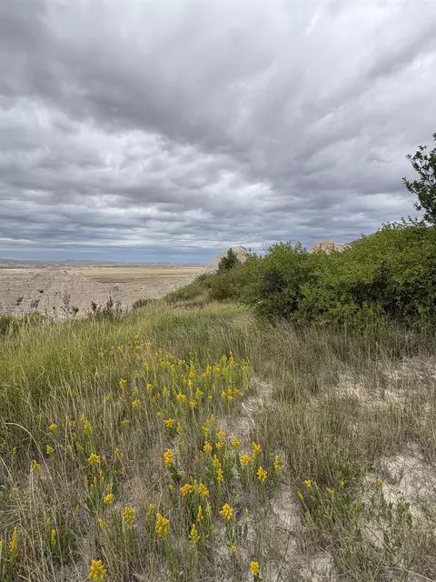 Other - 18300 E Hwy 44, Scenic, SD 57780 photo 15 of 25