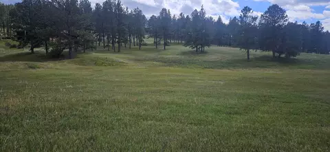25381 Wind Song Valley Rd, Custer, SD 57730 photo 8