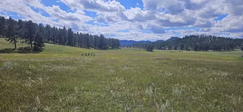 25381 Wind Song Valley Rd, Custer, SD 57730 photo 6