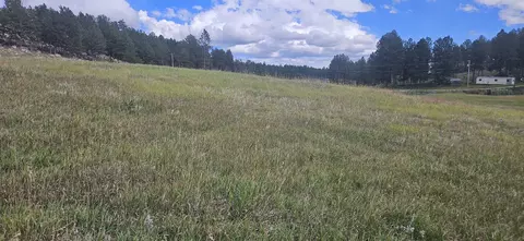 25381 Wind Song Valley Rd, Custer, SD 57730 photo 3