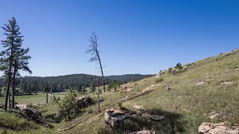 lot3 C Talon Trl, Keystone, SD 57751 photo 23