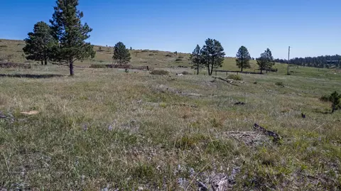 lot3 C Talon Trl, Keystone, SD 57751 photo 21
