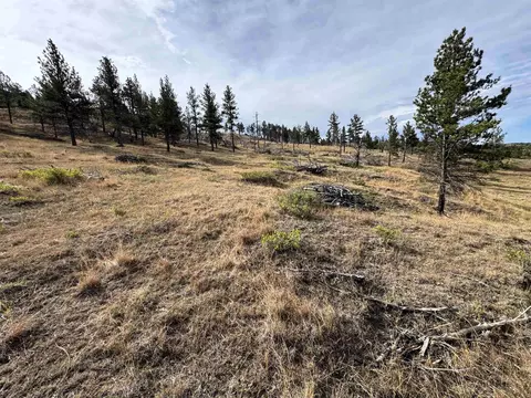 Other - 604 Douglas Rd, Sundance, WY 82729 photo 2 of 10