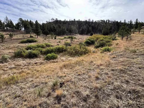 Other - 604 Douglas Rd, Sundance, WY 82729 photo 3 of 10