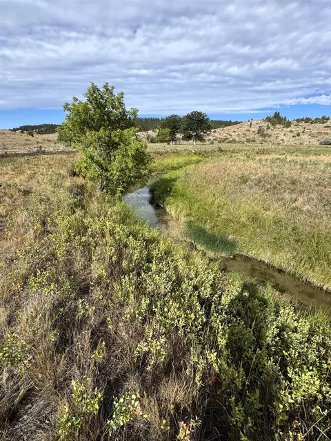 View/Area - 604 Douglas Rd, Sundance, WY 82729 photo 2 of 2
