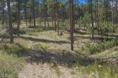 12463 Sherry Dr, Custer, SD 57730 photo 4