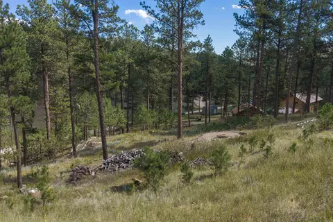 12463 Sherry Dr, Custer, SD 57730 photo 3