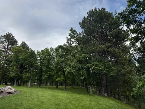 Exterior - 20786 Mountain Ct, Sturgis, SD 57785 photo 10 of 19