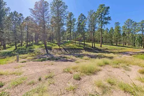 24409 Milo Ln, Keystone, SD 57751 photo 16