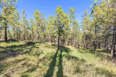 24409 Milo Ln, Keystone, SD 57751 photo 22