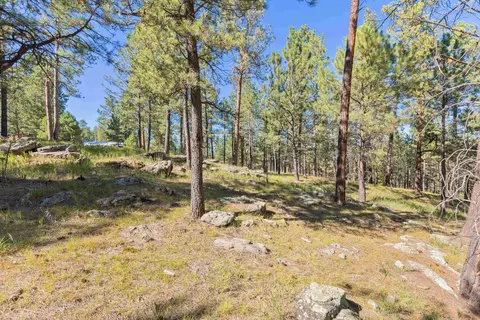 24409 Milo Ln, Keystone, SD 57751 photo 23