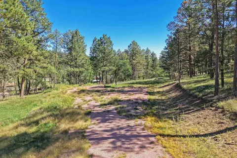 24409 Milo Ln, Keystone, SD 57751 photo 13