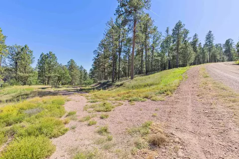 24409 Milo Ln, Keystone, SD 57751 photo 17