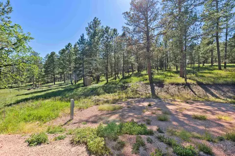 24409 Milo Ln, Keystone, SD 57751 photo 19