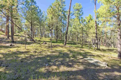 24409 Milo Ln, Keystone, SD 57751 photo 24