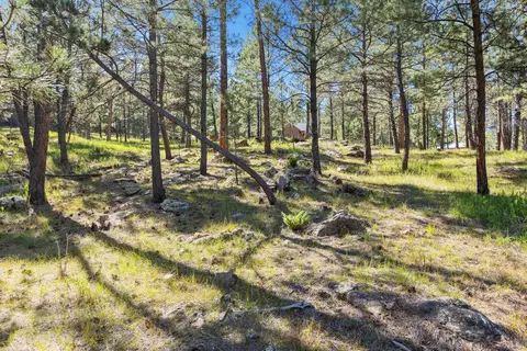 24409 Milo Ln, Keystone, SD 57751 photo 25