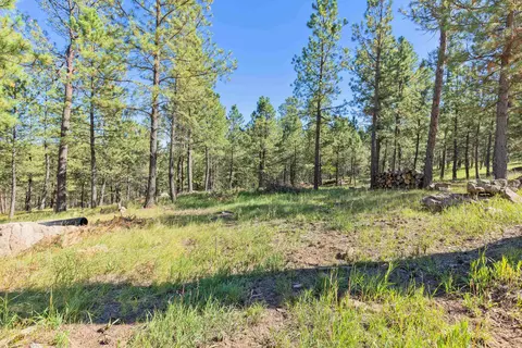 24409 Milo Ln, Keystone, SD 57751 photo 20