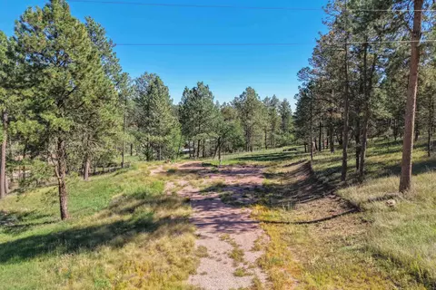 24409 Milo Ln, Keystone, SD 57751 photo 14