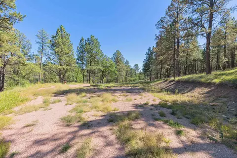 24409 Milo Ln, Keystone, SD 57751 photo 18