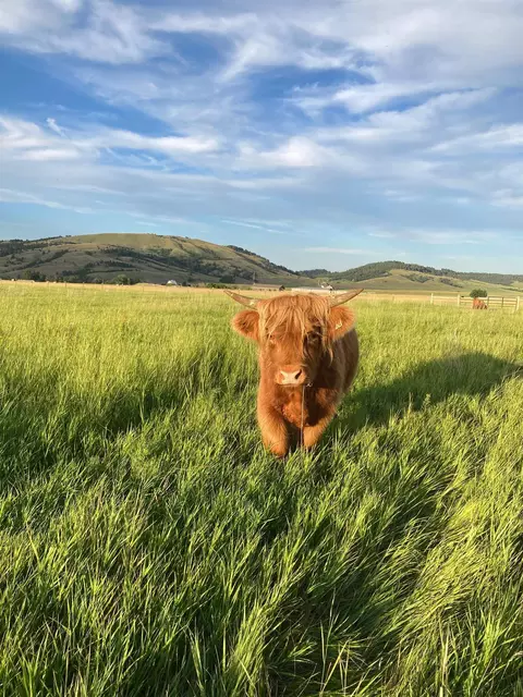 Other - 7100 Centennial Rd, Spearfish, SD 57783 photo 9 of 14