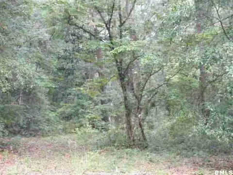 97 Davis Rd, Bluffton, SC 29910 photo 2