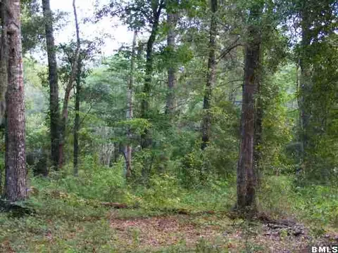 97 Davis Rd, Bluffton, SC 29910 photo 1