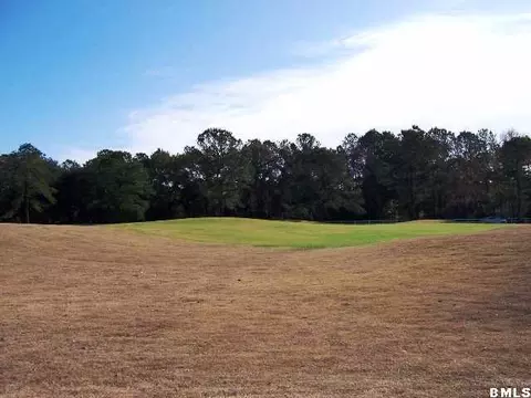 36 Bridle Path Ln, Bluffton, SC 29910 photo 1