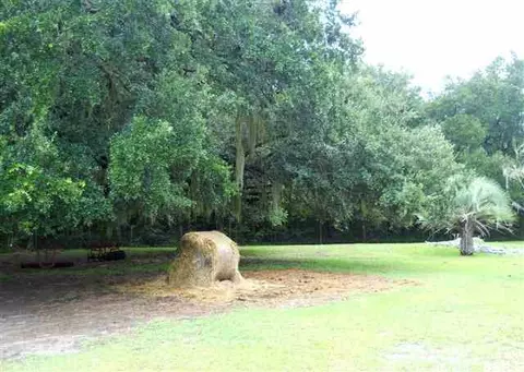 72 Cuthbert Farm Rd, Seabrook, SC 29940 photo 13