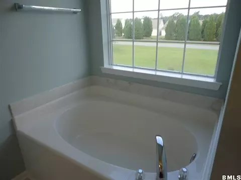 236 Flat Rock Trce, Bluffton, SC 29910 photo 13