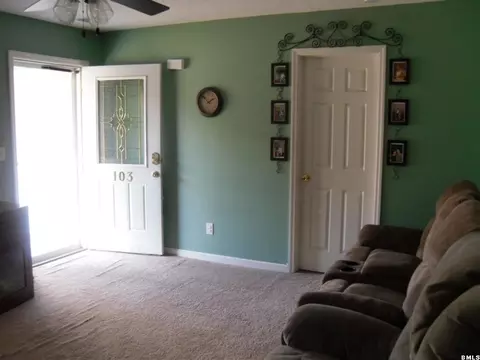 103 Kathy St, Hampton, SC 29924 photo 3