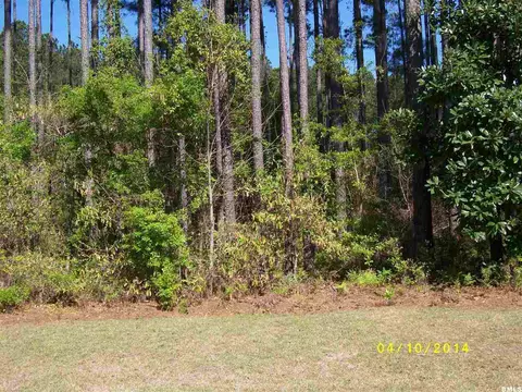 16 Spruce Dr, Bluffton, SC 29910 photo 18