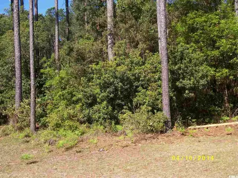 16 Spruce Dr, Bluffton, SC 29910 photo 19