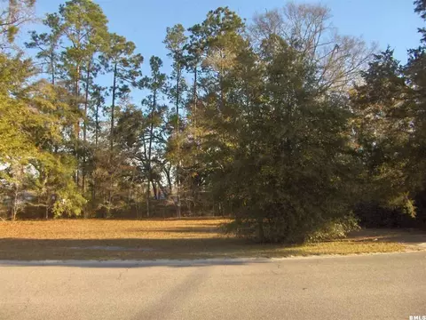 100 Schley St, Hampton, SC 29924 photo 19