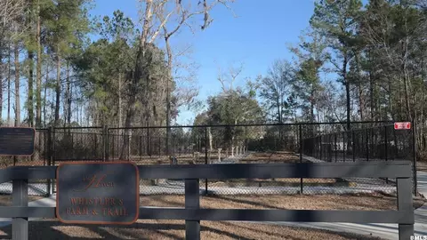 3 Groveview Ave, Bluffton, SC 29910 photo 27