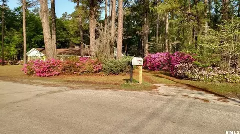 203 Mcdill Ln, Hampton, SC 29924 photo 35