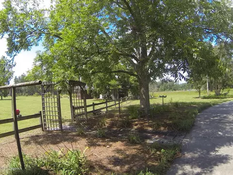 1293 Co Op Rd E, Hampton, SC 29924 photo 13