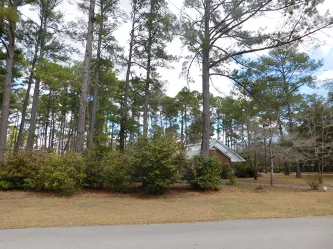 211 Harriett St, Hampton, SC 29924 photo 40